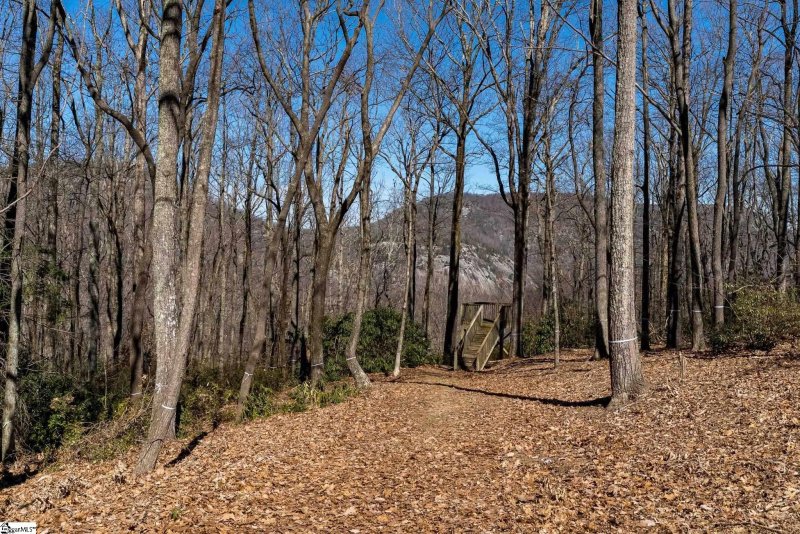 Property image 4 of 248 May Apple Way in The Cliffs at Glassy, Landrum, SC 29356