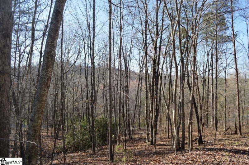 Property image 2 of Purple Finch Way in The Cliffs at Mountain Park, Marietta, SC 29661