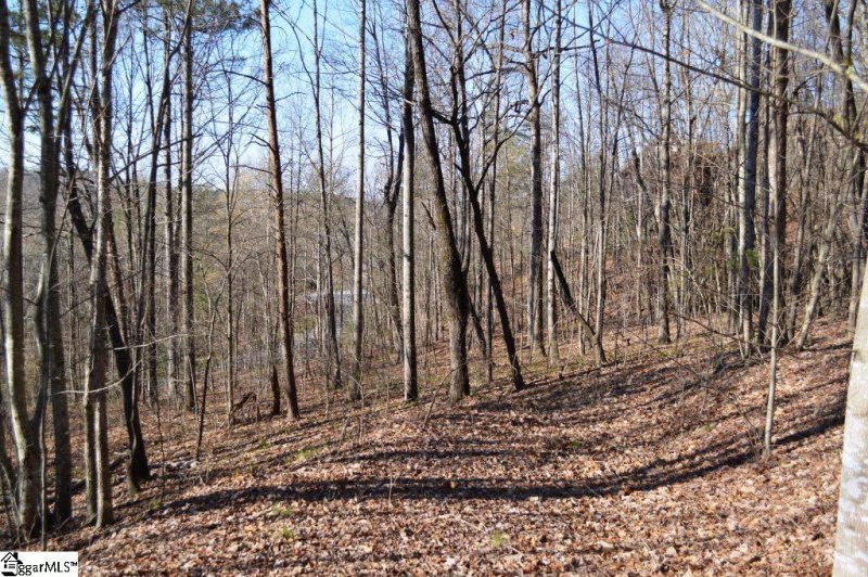 Property image 3 of Purple Finch Way in The Cliffs at Mountain Park, Marietta, SC 29661