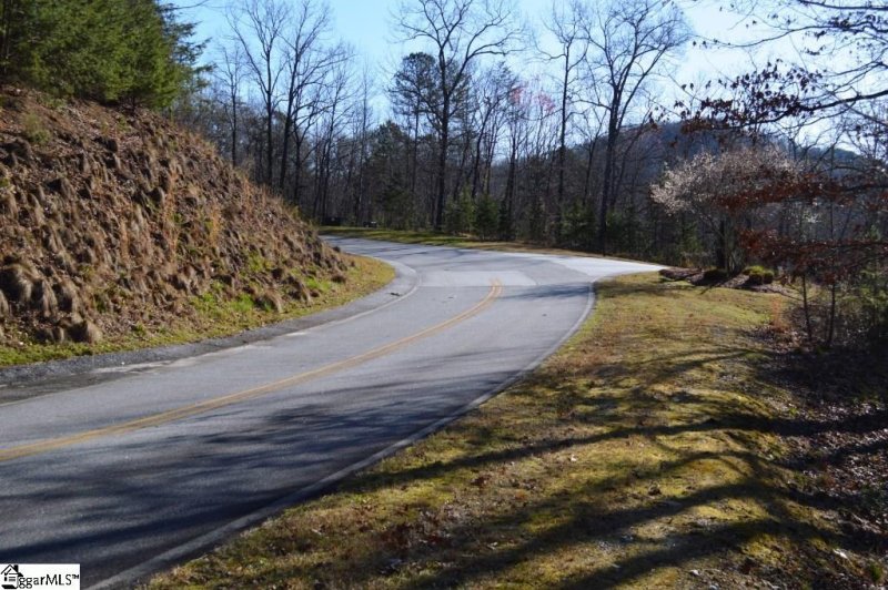 Property image 5 of Purple Finch Way in The Cliffs at Mountain Park, Marietta, SC 29661