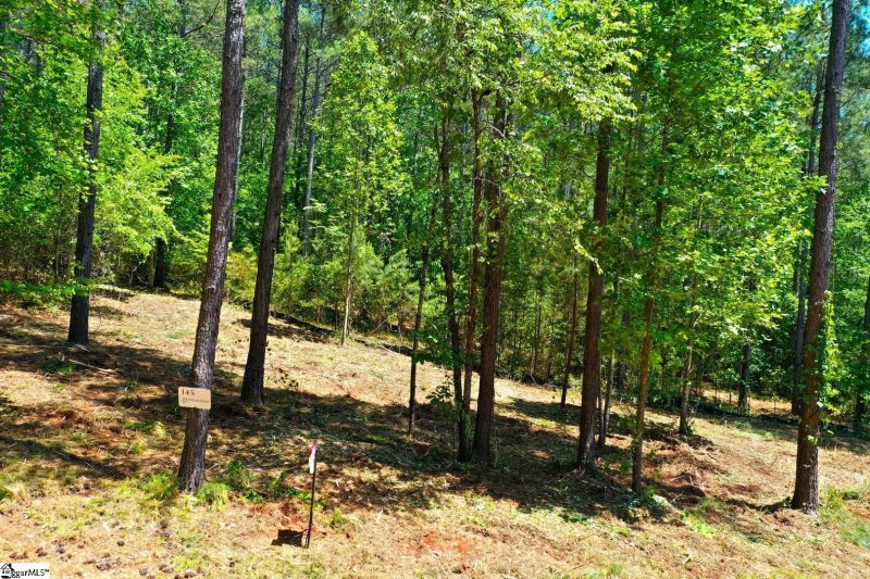 145 Keowee Pass Trail