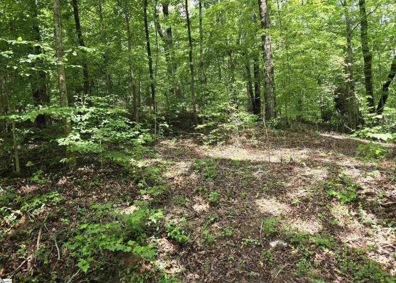 Property image 2 at 00 Ross Drive, Starr, SC 29684