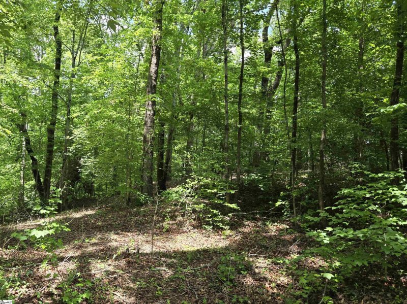 Property image 3 at 00 Ross Drive, Starr, SC 29684