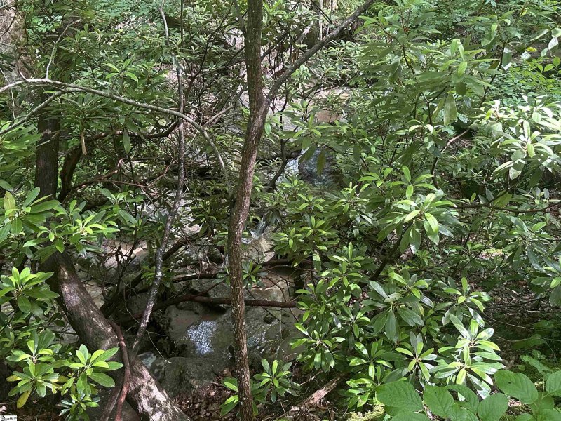 Property image 2 of 76 Southview Ledge Road in The Cliffs at Glassy, Landrum, SC 29356-3329