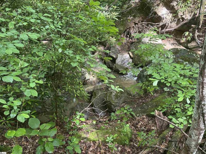 Property image 3 of 76 Southview Ledge Road in The Cliffs at Glassy, Landrum, SC 29356-3329