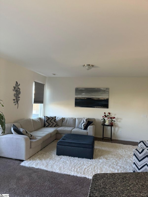 Property image 5 of 717 Pollyanna Drive in Harrington, Greenville, SC 29605