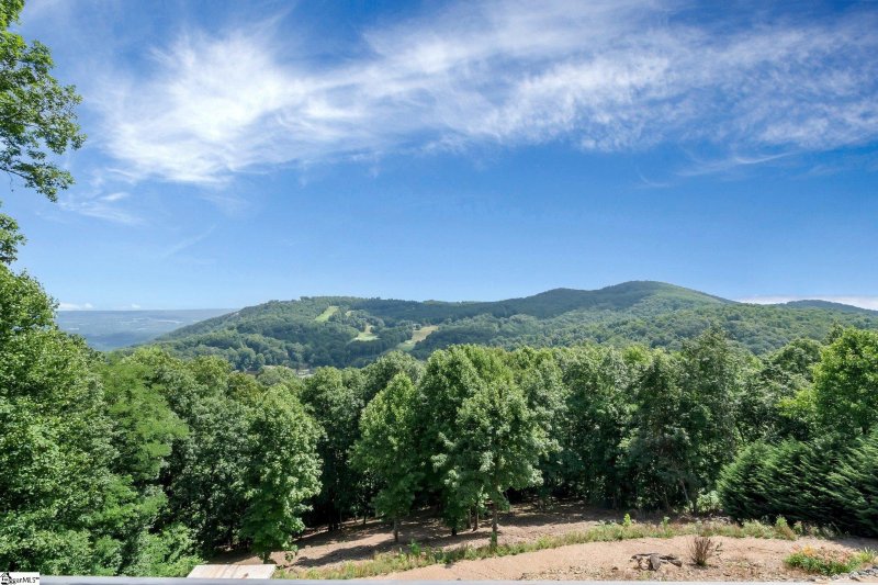 Property image 4 at 58 Wild Ginger Road, Landrum, SC 29356