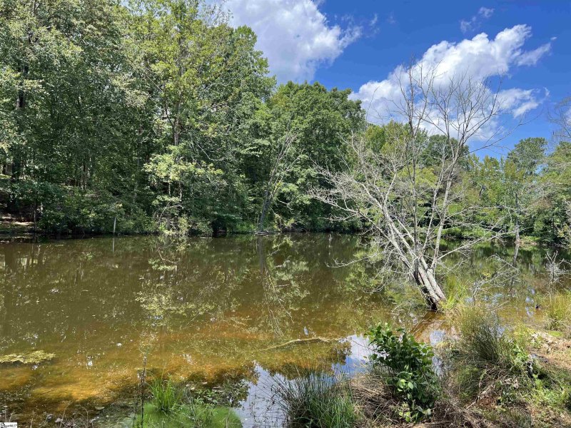 Property image 2 at 00 Lakeview Drive, Laurens, SC 29360