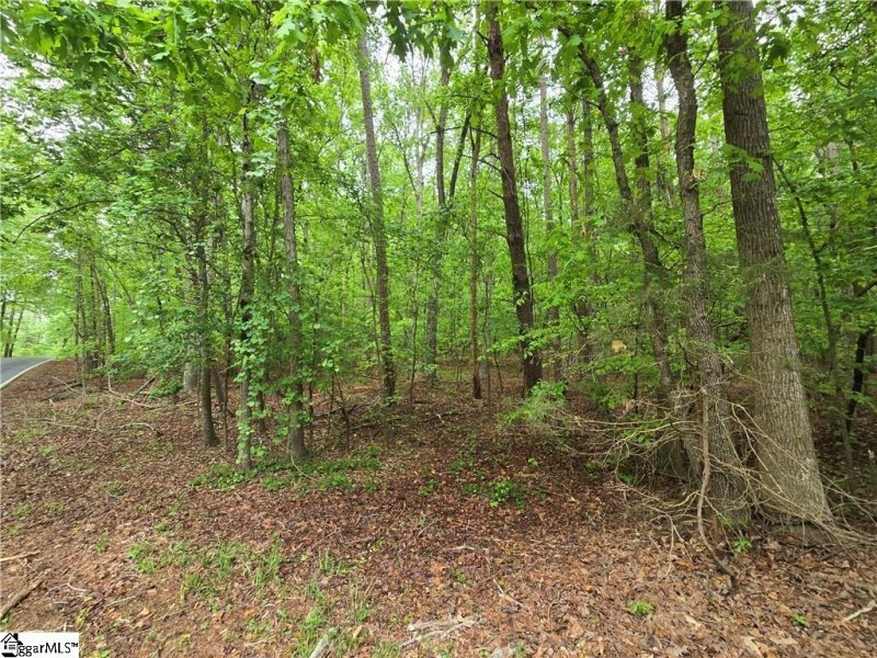 Property image 5 at 501 N Arrowhead Drive, Westminster, SC 29693