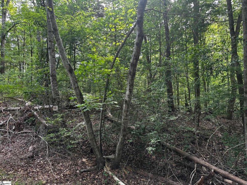 Property image 2 of 614 Rocky Trail in Foxwood Hills, Westminster, SC 29693