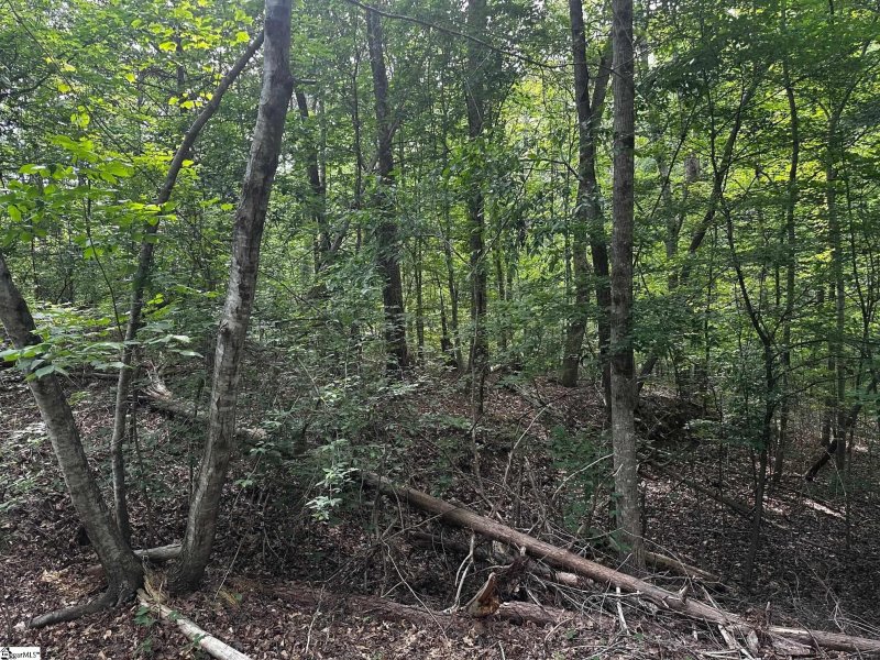 Property image 3 of 614 Rocky Trail in Foxwood Hills, Westminster, SC 29693