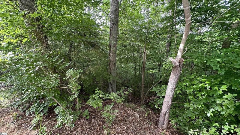 Property image 2 of 00 Buttercup Court in Chickasaw Point, Westminster, SC 29693