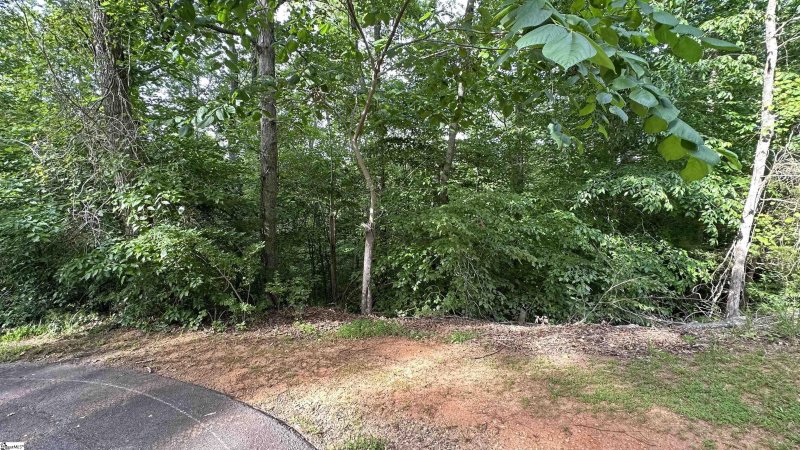 Property image 3 of 00 Buttercup Court in Chickasaw Point, Westminster, SC 29693