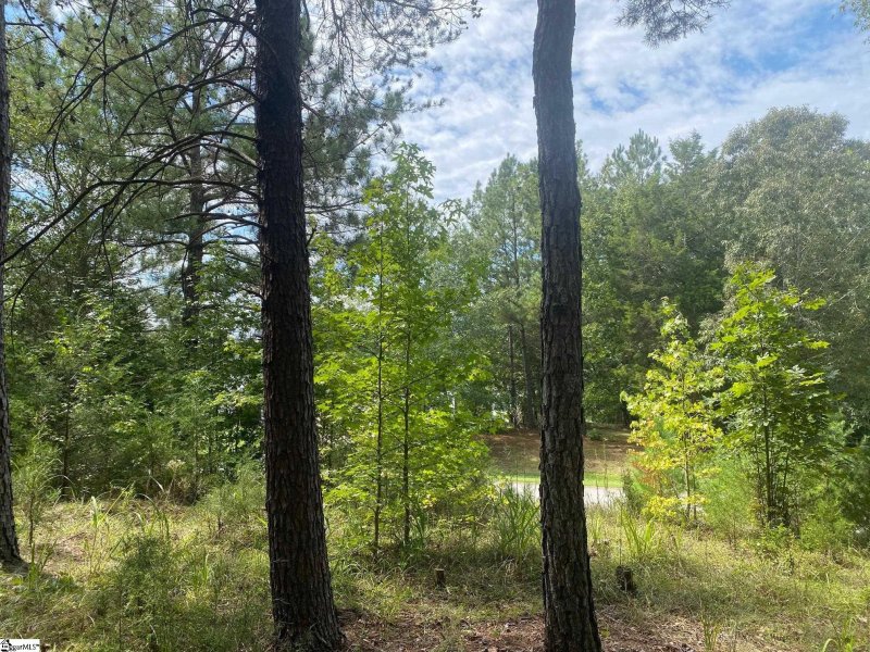 Property image 2 of 203 W Peninsula Drive in Lake Rabon Estates, Laurens, SC 29360