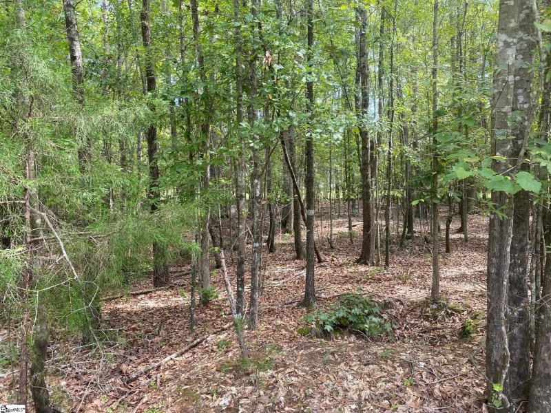 Property image 3 of 203 W Peninsula Drive in Lake Rabon Estates, Laurens, SC 29360