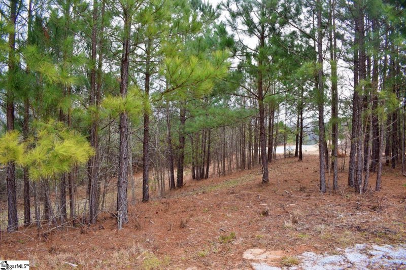 Property image 3 at 101 Lord Byron Lane, Travelers Rest, SC 29690