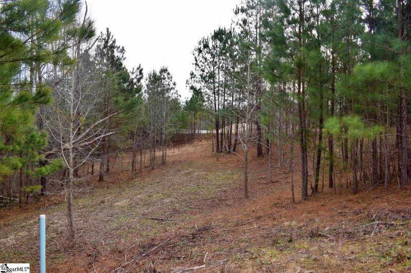 Property image 4 at 101 Lord Byron Lane, Travelers Rest, SC 29690