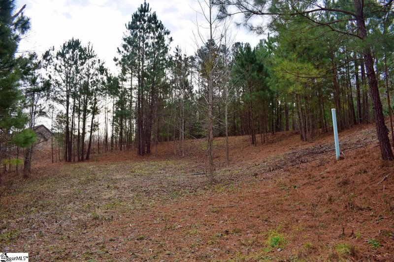 Property image 5 at 101 Lord Byron Lane, Travelers Rest, SC 29690