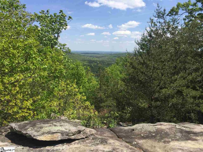 Property image 2 at 1 Aurora Way, Landrum, SC 29356