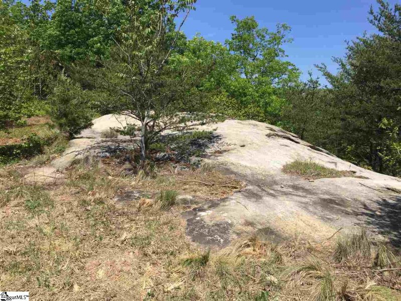 Property image 5 at 1 Aurora Way, Landrum, SC 29356