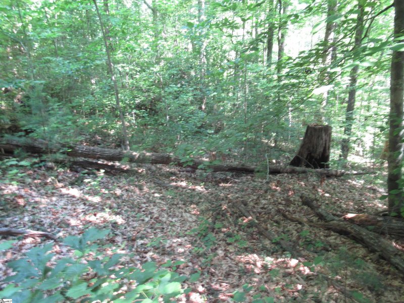 Property image 2 of 00 Gauley Falls Road in Gauley Falls, Pickens, SC 29671