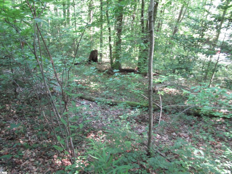 Property image 4 of 00 Gauley Falls Road in Gauley Falls, Pickens, SC 29671