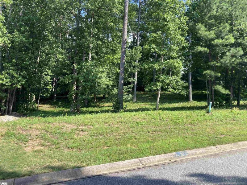 Property image 3 at 302 Signature Drive, Travelers Rest, SC 29690