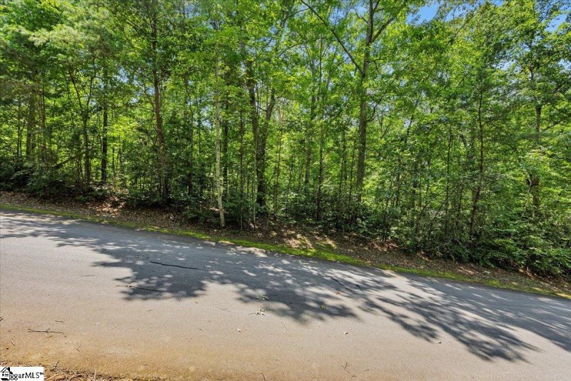 Property image 3 of 14 Alsace Way in Crescent Mountain Vineyard, Travelers Rest, SC 29690