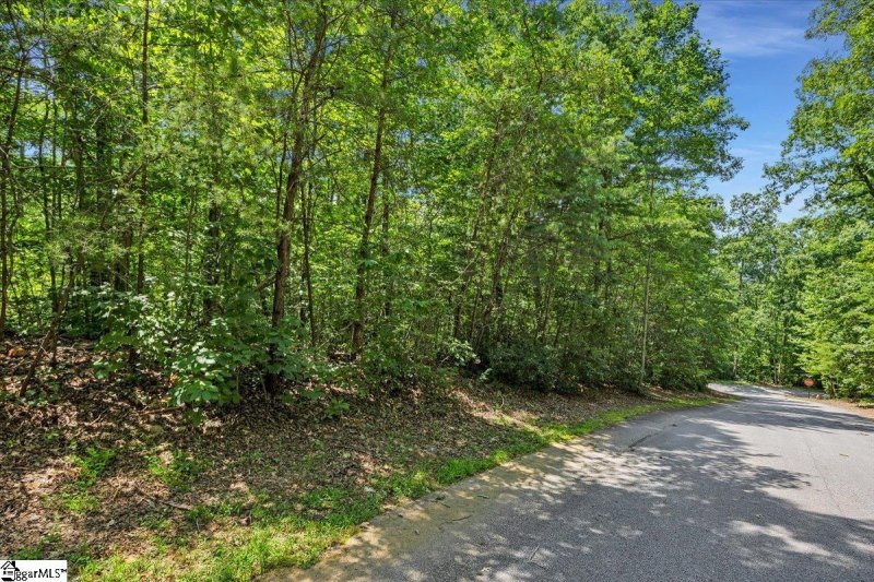 Property image 4 of 14 Alsace Way in Crescent Mountain Vineyard, Travelers Rest, SC 29690