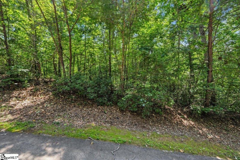 Property image 5 of 14 Alsace Way in Crescent Mountain Vineyard, Travelers Rest, SC 29690