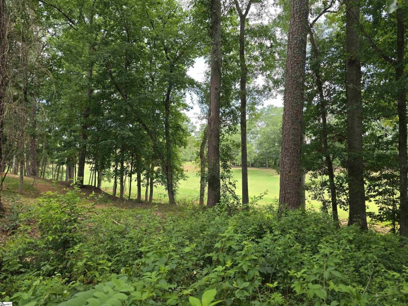 513 Quail Hollow Road