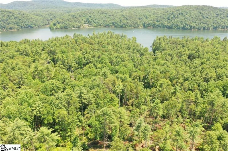 Property image 2 of 113 Sweetshrub Court in The Cliffs at Keowee Vineyards, Sunset, SC 29685