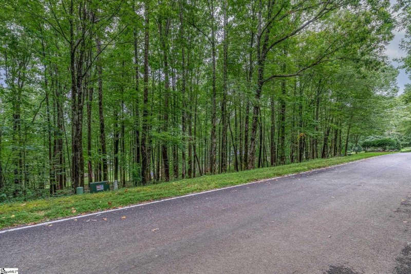 Property image 5 of 30 Snap Dragon Way in The Cliffs at Glassy, Landrum, SC 29356-3329