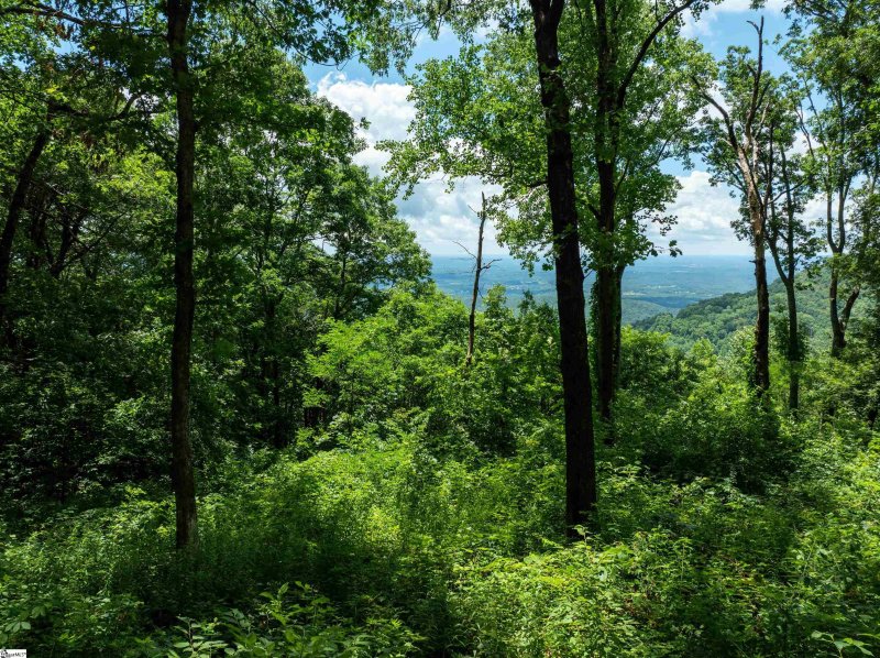 Property image 4 of 22 Raven Road in The Cliffs at Glassy, Landrum, SC 29356