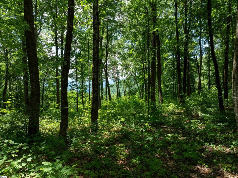 Property image 5 of 22 Raven Road in The Cliffs at Glassy, Landrum, SC 29356