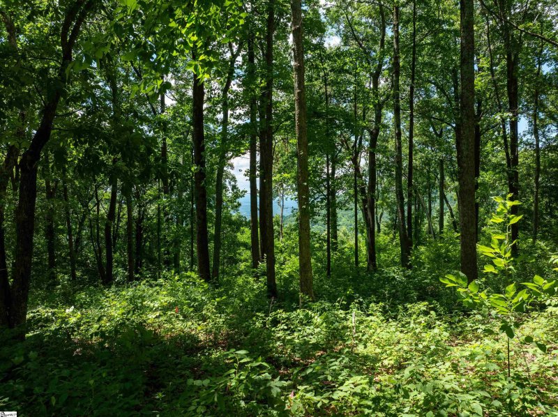 Property image 3 of 28 Raven Road in The Cliffs at Glassy, Landrum, SC 29356