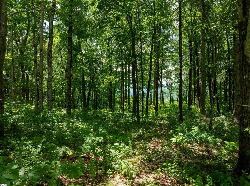 Property image 4 of 28 Raven Road in The Cliffs at Glassy, Landrum, SC 29356