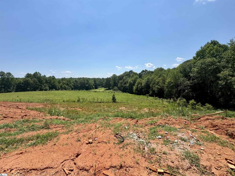 Property image 3 of 700 Silvo Court in Double Springs, Taylors, SC 29687