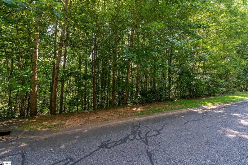 313 Laurel Valley Way