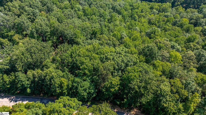Property image 3 of 317 Laurel Valley Way in Cherokee Valley, Travelers Rest, SC 29690