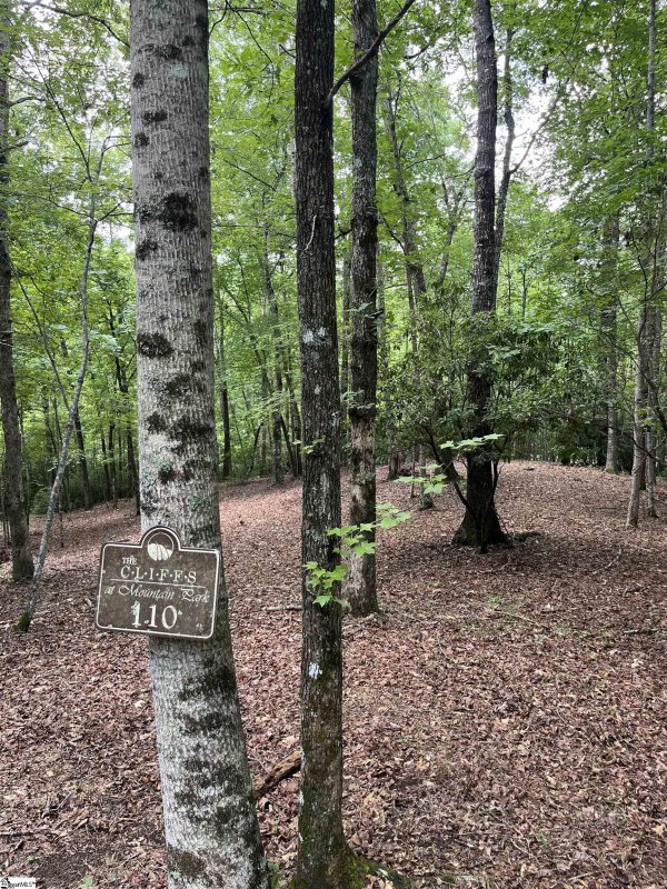 Property image 2 at Darting Sparrow Way, Marietta, SC 29661