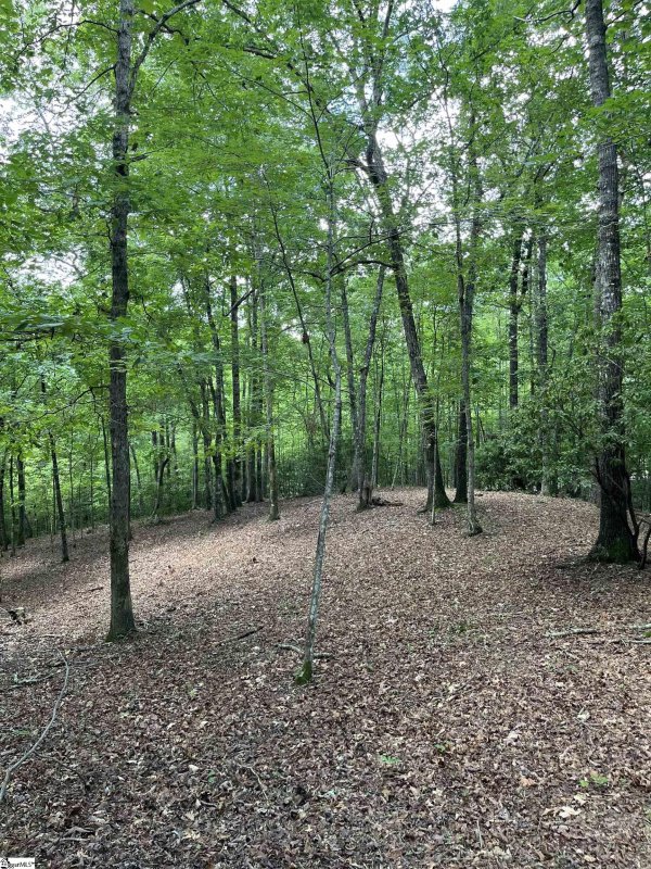 Property image 3 at Darting Sparrow Way, Marietta, SC 29661