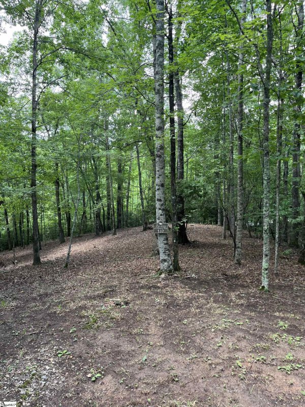 Property image 5 at Darting Sparrow Way, Marietta, SC 29661