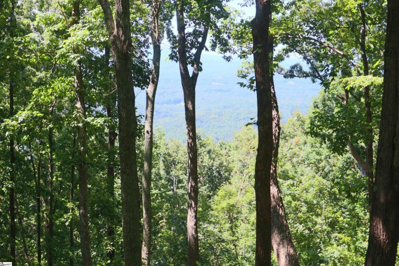 Property image 4 of 233 Southview Ledge Road in The Cliffs at Glassy, Landrum, SC 29356