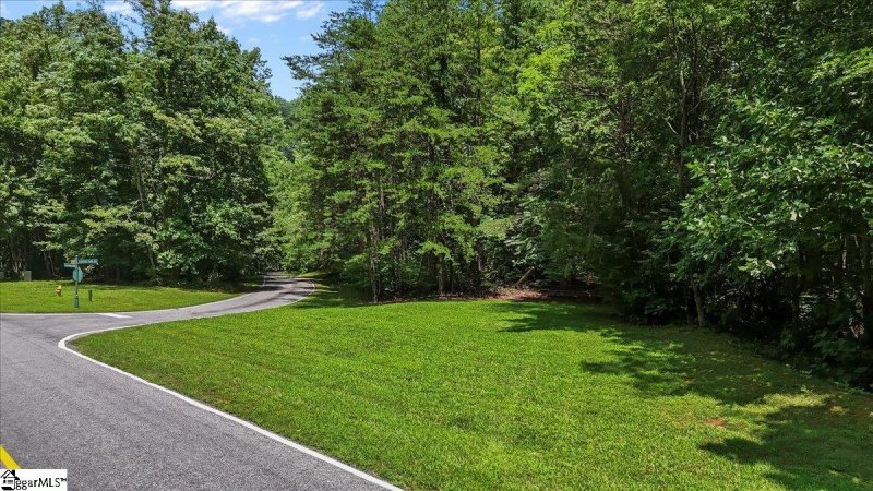 Property image 3 at 2 Granite Falls Drive, Landrum, SC 29356