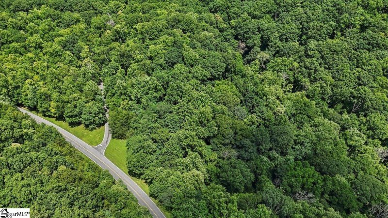 Property image 4 at 2 Granite Falls Drive, Landrum, SC 29356