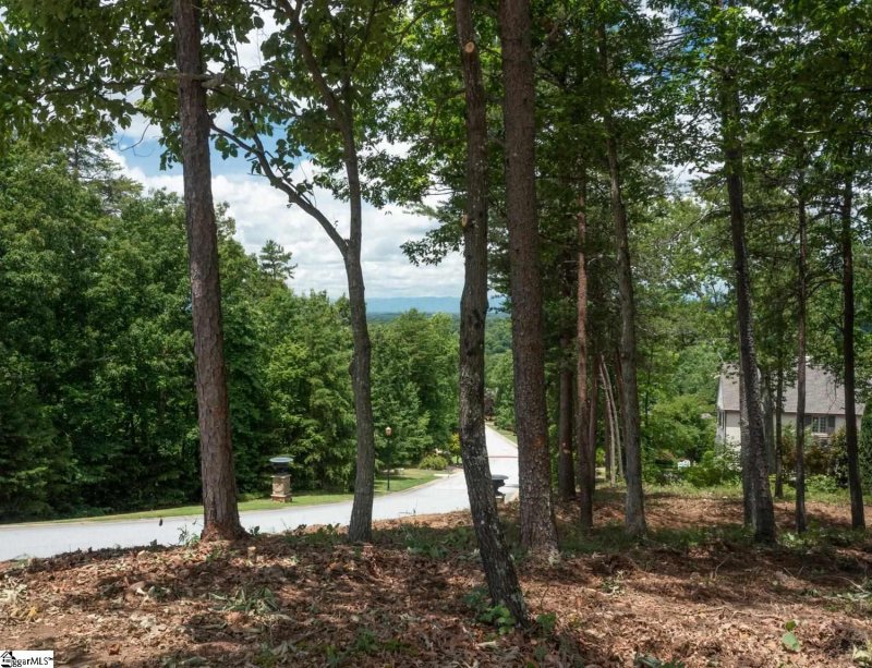 Property image 3 of 5 Donatello Court in Montebello, Greenville, SC 29609