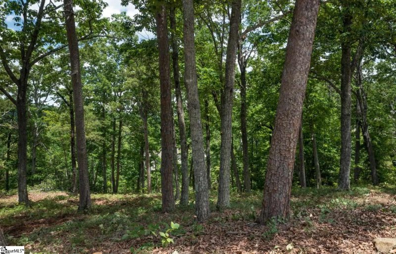 Property image 4 of 5 Donatello Court in Montebello, Greenville, SC 29609