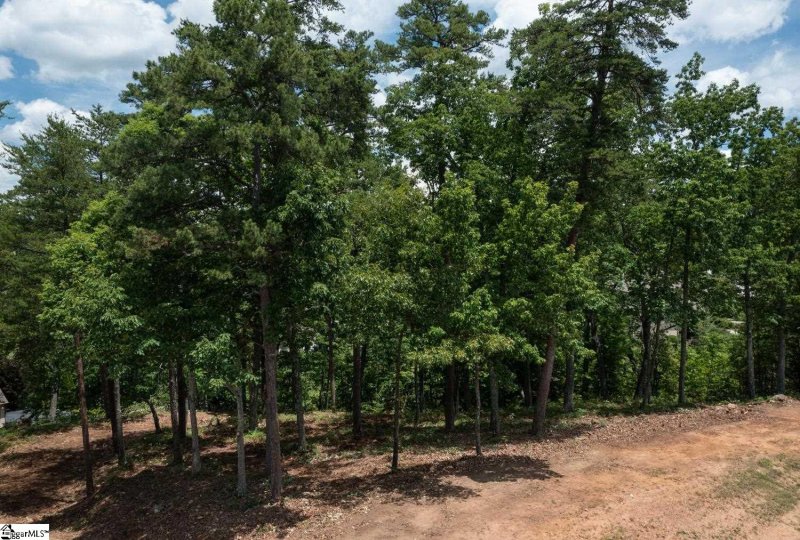 Property image 5 of 5 Donatello Court in Montebello, Greenville, SC 29609