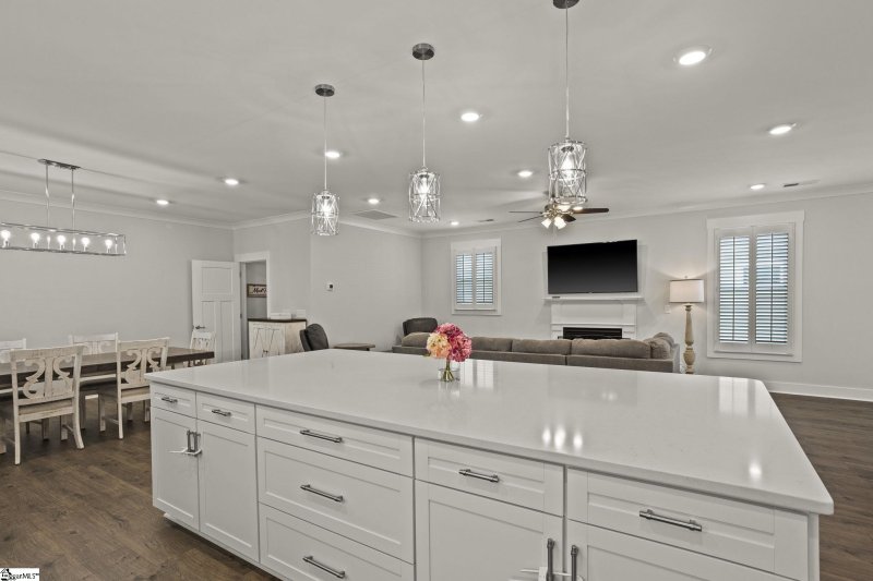 Property image 3 of 542 Coolwater Drive in Stillwaters of Lake Robinson, Taylors, SC 29687